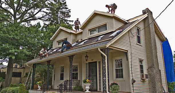 Roof Gutter Cleaning in Fair Plain, MI