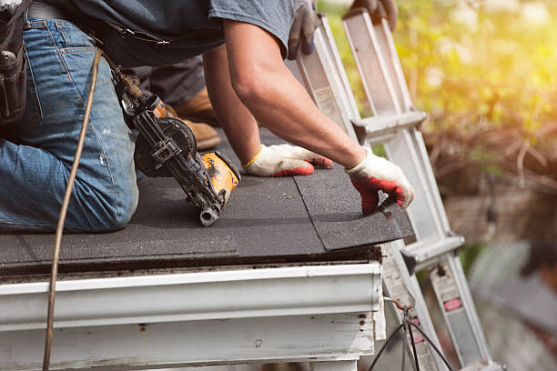 Best Roof Gutter Cleaning  in Fair Plain, MI